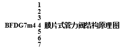 水泵出口控制閥-管力閥使用說明書(圖5) 水泵出口控制閥-管力閥使用說明書(圖5)